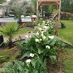 Villa Piscine Chauffée,5ch ,climatisation, Bar Extérieur Lacanau