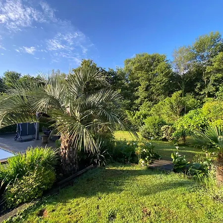 Villa Piscine Chauffee,5ch ,climatisation, Bar Exterieur Lacanau
