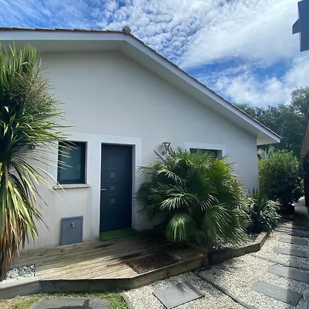 Piscine Chauffee,5ch ,climatisation, Bar Exterieur Lacanau