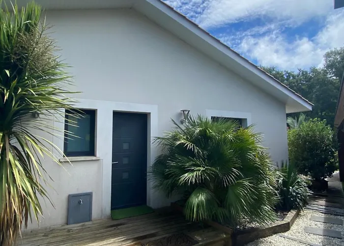 Piscine Chauffee,5ch ,climatisation, Bar Exterieur Lacanau