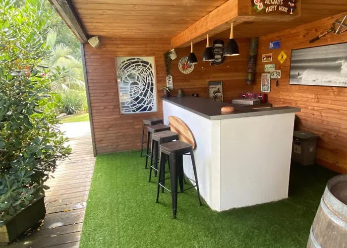 Piscine Chauffee,5ch ,climatisation, Bar Exterieur * Lacanau